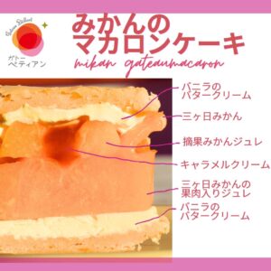 オレンジのマカロン｜浜松のスイーツショップ_ガトーペティアン