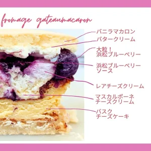 ブルーベリーのマカロン｜浜松のスイーツショップ_ガトーペティアン