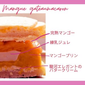 マンゴーのマカロンケーキ｜浜松のスイーツショップ_ガトーペティアン