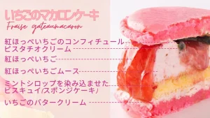 浜松のマカロンケーキのお店｜ガトーペティアン