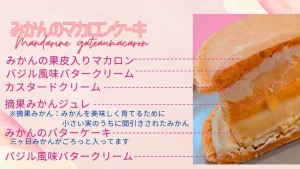 浜松のマカロンケーキのお店｜ガトーペティアン