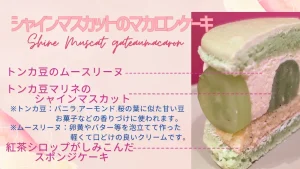 浜松のマカロンケーキのお店｜ガトーペティアン