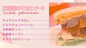 浜松のマカロンケーキのお店｜ガトーペティアン