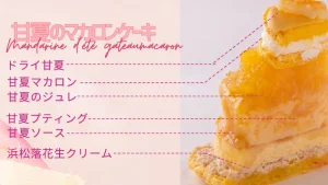 浜松のマカロンケーキのお店｜ガトーペティアン