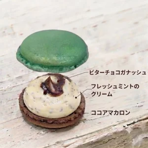 アントゥルマカロン｜チョコミント