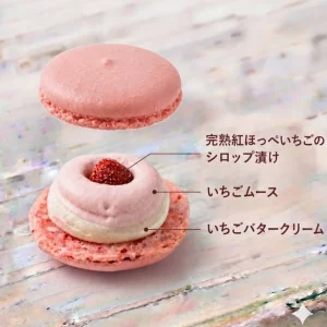 アントゥルマカロン｜紅ほっぺいちご