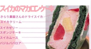 すいかのマカロンケーキ